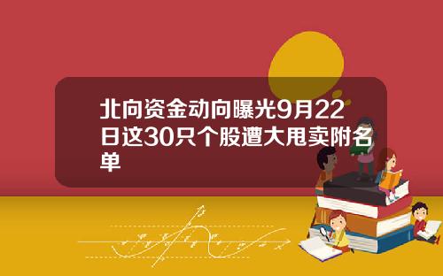 北向资金动向曝光9月22日这30只个股遭大甩卖附名单