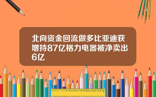 北向资金回流做多比亚迪获增持87亿格力电器被净卖出6亿