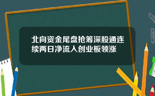 北向资金尾盘抢筹深股通连续两日净流入创业板领涨