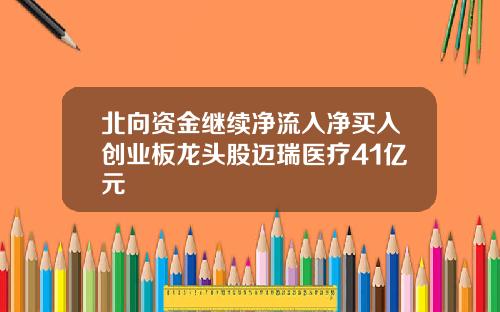 北向资金继续净流入净买入创业板龙头股迈瑞医疗41亿元