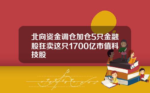 北向资金调仓加仓5只金融股狂卖这只1700亿市值科技股