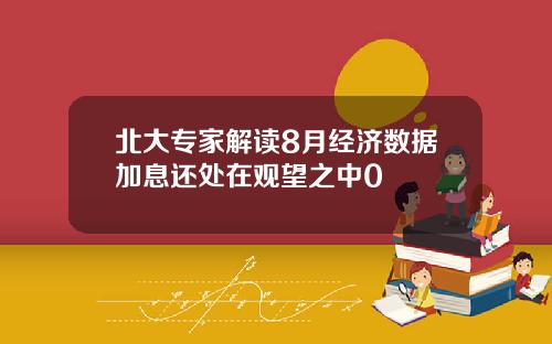 北大专家解读8月经济数据加息还处在观望之中0
