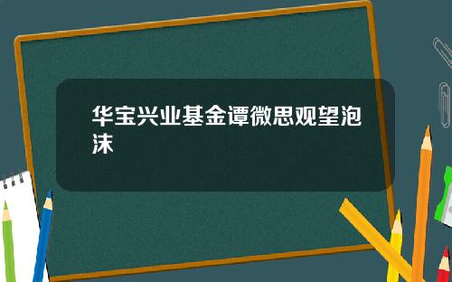 华宝兴业基金谭微思观望泡沫