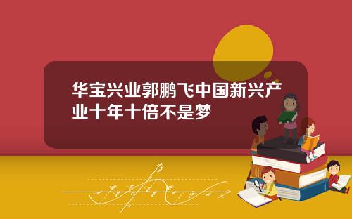 华宝兴业郭鹏飞中国新兴产业十年十倍不是梦