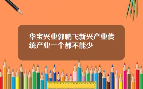 华宝兴业郭鹏飞新兴产业传统产业一个都不能少