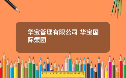 华宝管理有限公司 华宝国际集团