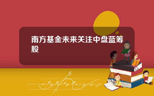 南方基金未来关注中盘蓝筹股