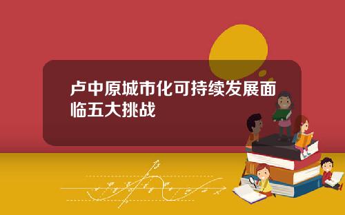卢中原城市化可持续发展面临五大挑战
