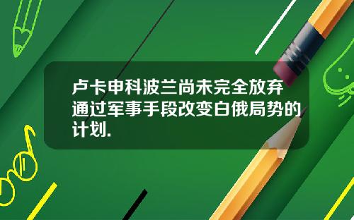 卢卡申科波兰尚未完全放弃通过军事手段改变白俄局势的计划.