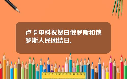 卢卡申科祝贺白俄罗斯和俄罗斯人民团结日.