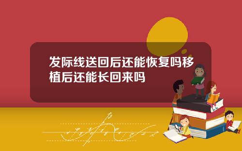 发际线送回后还能恢复吗移植后还能长回来吗