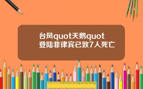 台风quot天鹅quot登陆菲律宾已致7人死亡