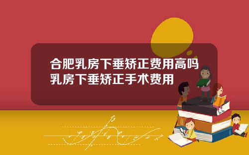 合肥乳房下垂矫正费用高吗乳房下垂矫正手术费用