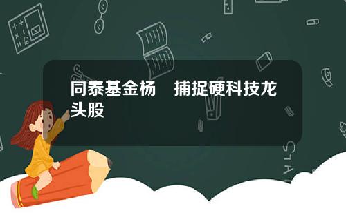 同泰基金杨喆捕捉硬科技龙头股