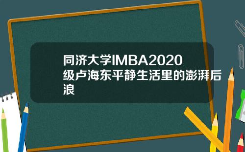 同济大学IMBA2020级卢海东平静生活里的澎湃后浪