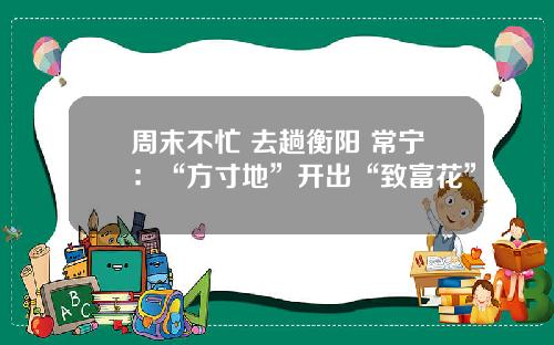 周末不忙 去趟衡阳 常宁：“方寸地”开出“致富花”