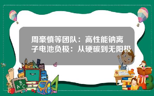 周豪慎等团队：高性能钠离子电池负极：从硬碳到无阳极