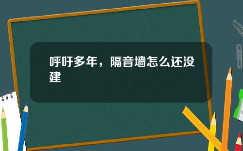 呼吁多年，隔音墙怎么还没建