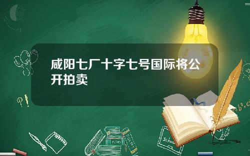 咸阳七厂十字七号国际将公开拍卖