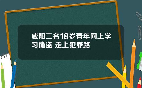 咸阳三名18岁青年网上学习偷盗 走上犯罪路
