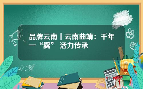 品牌云南丨云南曲靖：千年一“爨” 活力传承