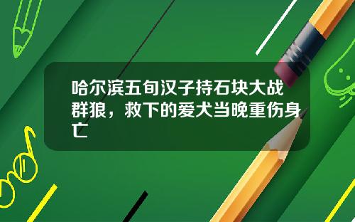 哈尔滨五旬汉子持石块大战群狼，救下的爱犬当晚重伤身亡