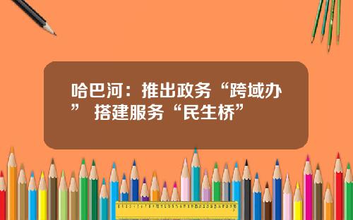 哈巴河：推出政务“跨域办” 搭建服务“民生桥”