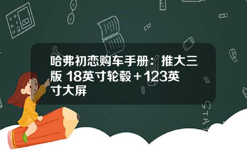 哈弗初恋购车手册：推大三版 18英寸轮毂＋123英寸大屏