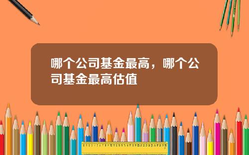 哪个公司基金最高，哪个公司基金最高估值