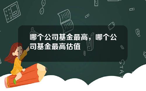 哪个公司基金最高，哪个公司基金最高估值
