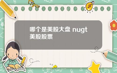 哪个是美股大盘 nugt美股股票