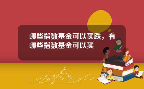 哪些指数基金可以买跌，有哪些指数基金可以买