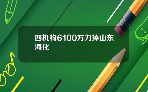 四机构6100万力捧山东海化