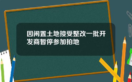 因闲置土地接受整改一批开发商暂停参加拍地