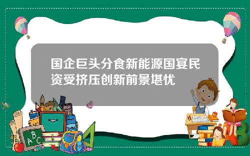 国企巨头分食新能源国宴民资受挤压创新前景堪忧