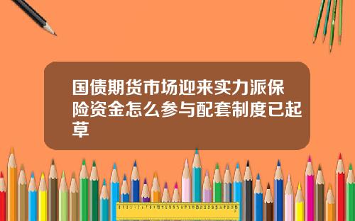 国债期货市场迎来实力派保险资金怎么参与配套制度已起草