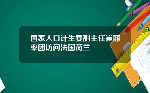 国家人口计生委副主任崔丽率团访问法国荷兰