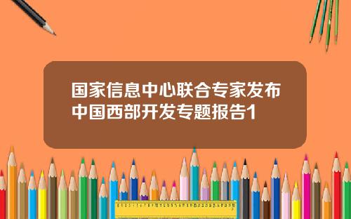 国家信息中心联合专家发布中国西部开发专题报告1