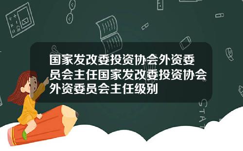 国家发改委投资协会外资委员会主任国家发改委投资协会外资委员会主任级别