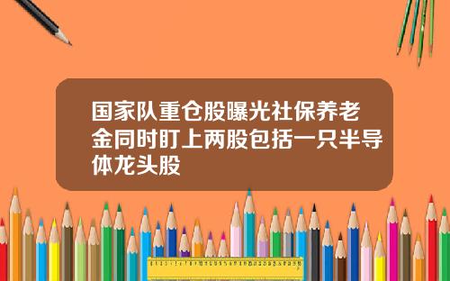 国家队重仓股曝光社保养老金同时盯上两股包括一只半导体龙头股