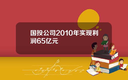 国投公司2010年实现利润65亿元