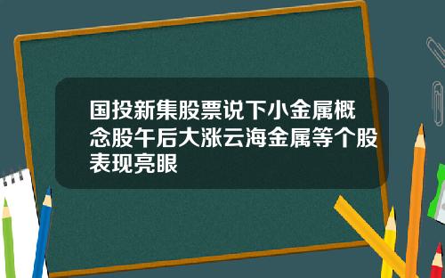 国投新集股票说下小金属概念股午后大涨云海金属等个股表现亮眼