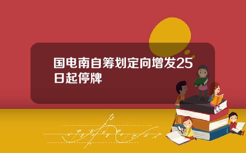国电南自筹划定向增发25日起停牌