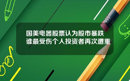 国美电器股票认为股市暴跌谁最受伤个人投资者再次遭重