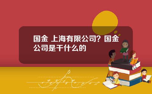 国金 上海有限公司？国金公司是干什么的