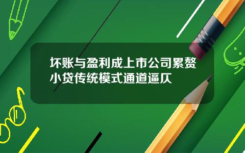 坏账与盈利成上市公司累赘小贷传统模式通道逼仄