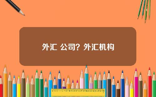 外汇 公司？外汇机构