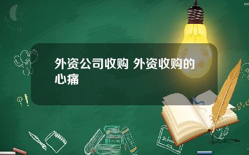 外资公司收购 外资收购的心痛