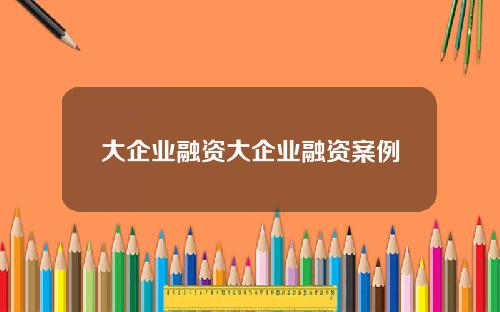 大企业融资大企业融资案例