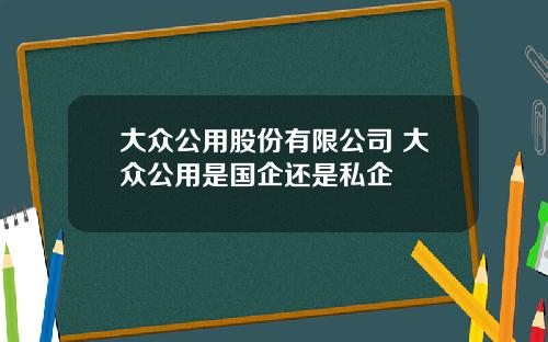 大众公用股份有限公司 大众公用是国企还是私企